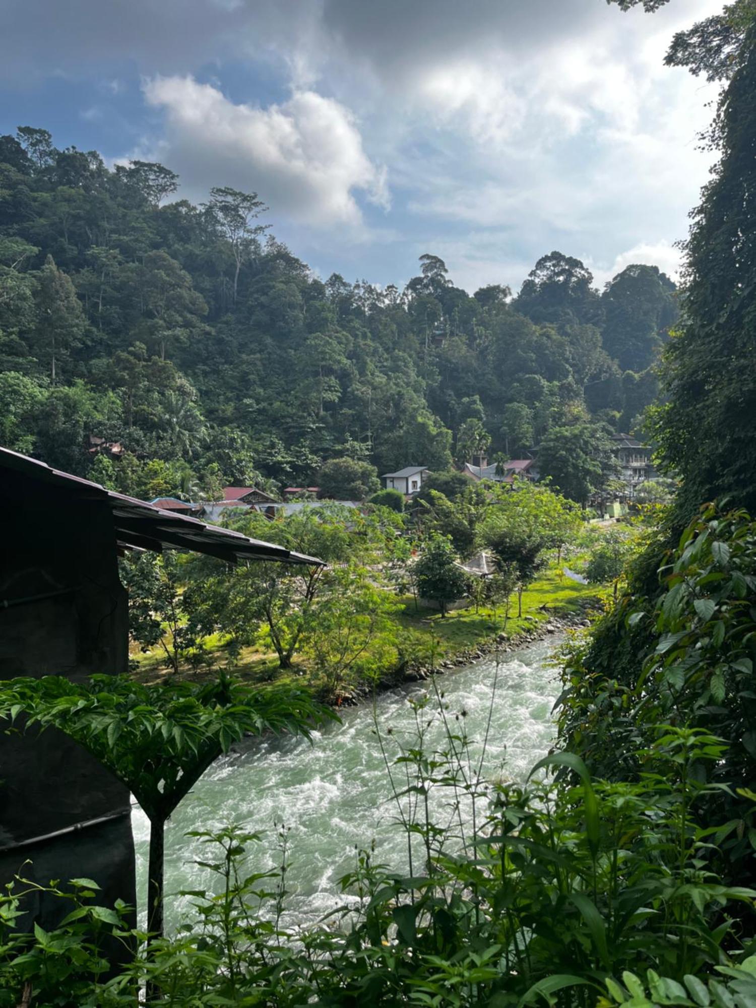 Charlys Little House Hotell Bukit Lawang Exteriör bild